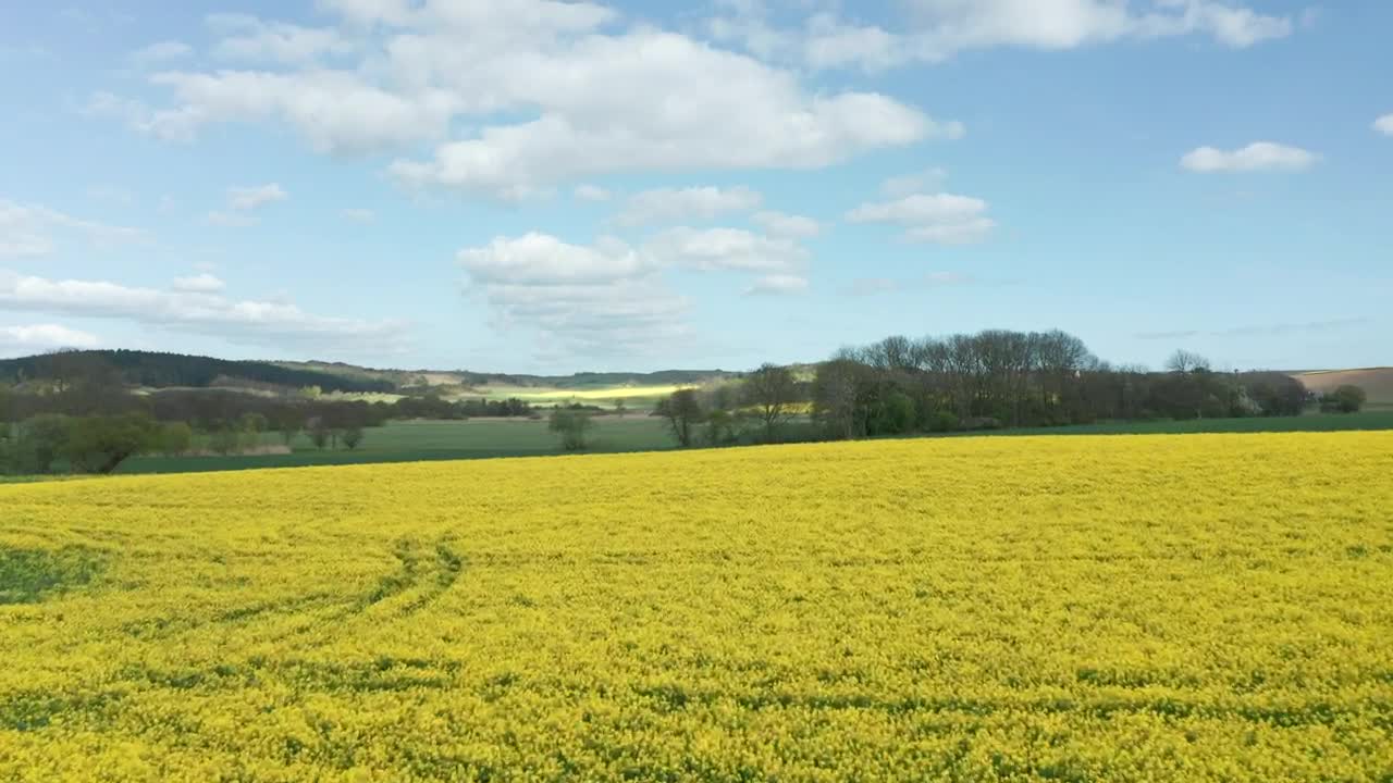 Free Video Stock Summer Fields Live Wallpaper