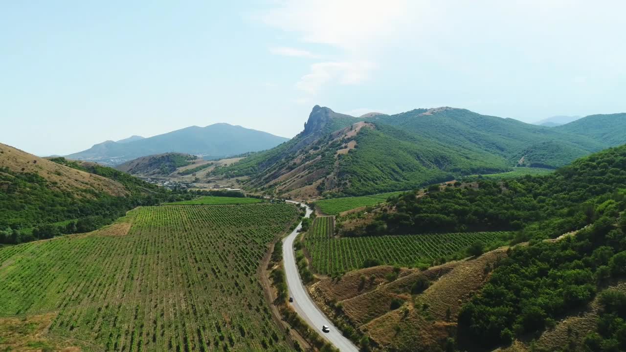 Free Video Stock Summer Landscape And Road Live Wallpaper