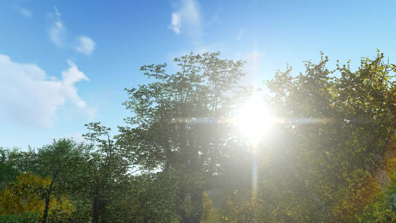 Free Video Stock Sun Flare And Trees D Live Wallpaper