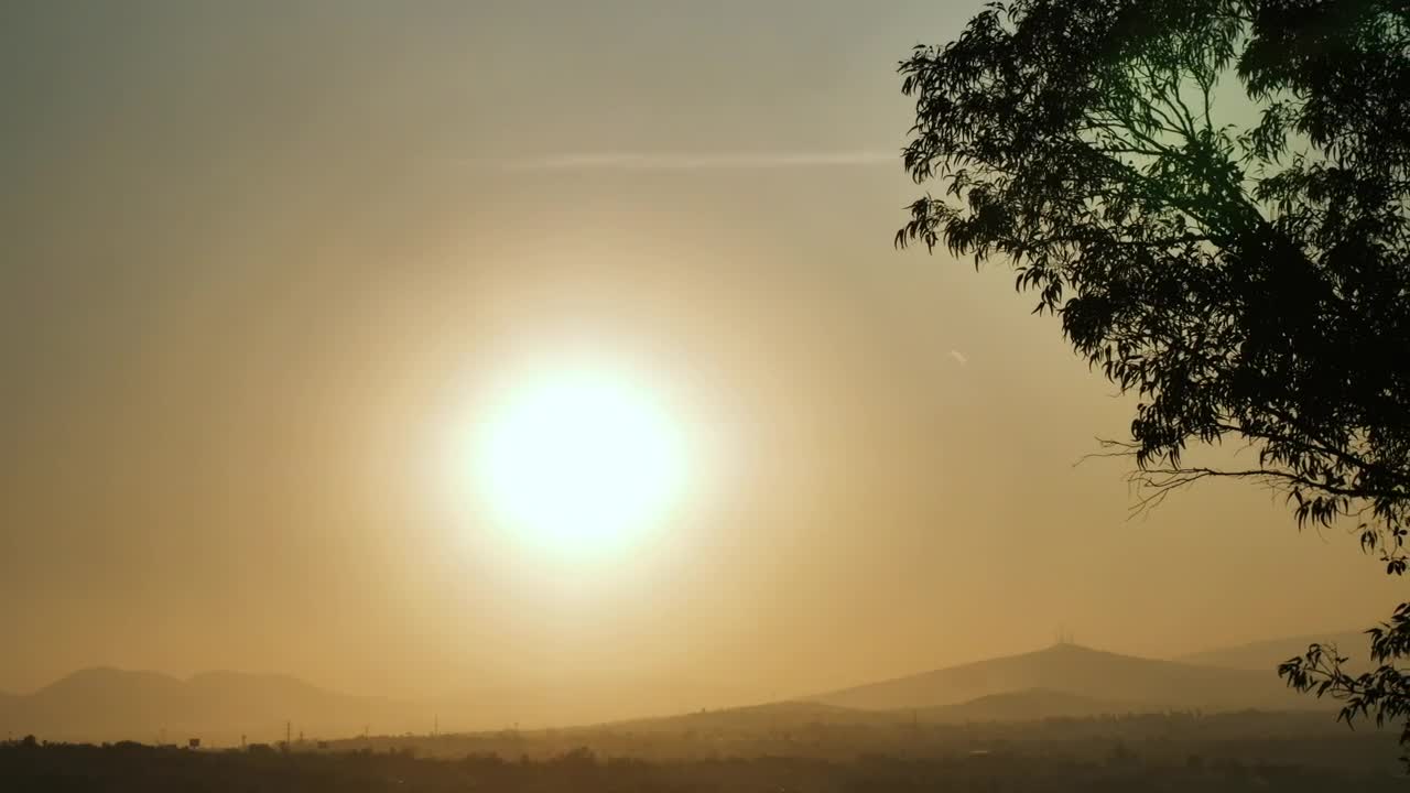 Free Video Stock Sun In The Sky And Silhouette Of A Tree Live Wallpaper