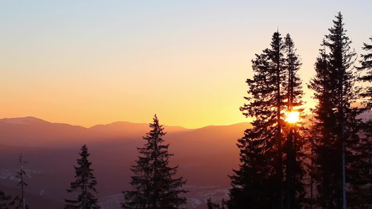 Free Video Stock Sun Rising In The Skyline In The Forest Live Wallpaper