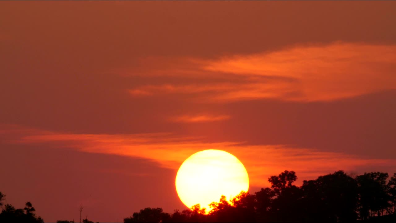 Free Video Stock Sun Setting Behind A Forest Live Wallpaper