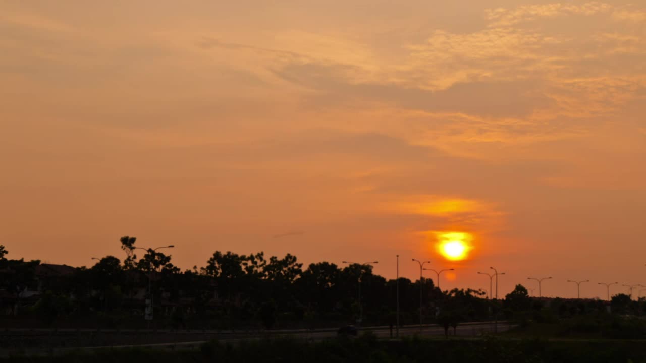 Free Video Stock Sun Setting Behind A Row Of Trees Live Wallpaper