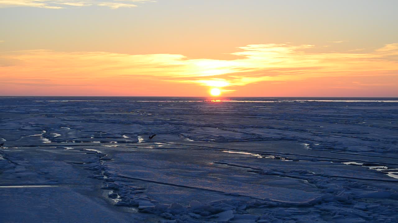 Free Video Stock Sun Setting On The Horizon Live Wallpaper