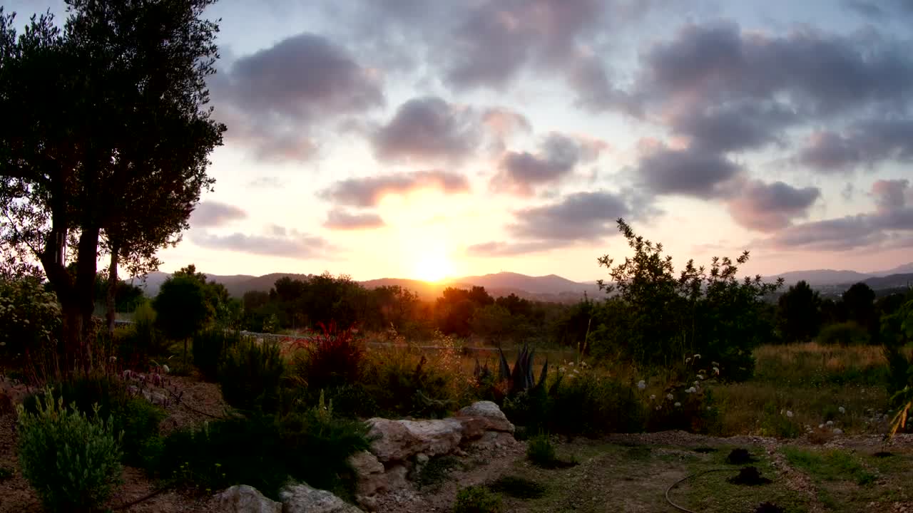 Free Video Stock Sun Setting Over A Garden Live Wallpaper
