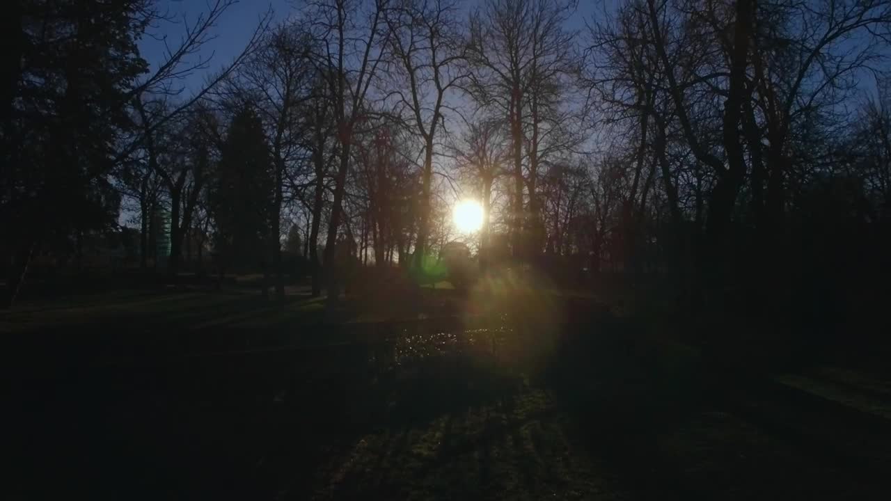 Free Video Stock Sun Shining Over A Park In Madrid Live Wallpaper