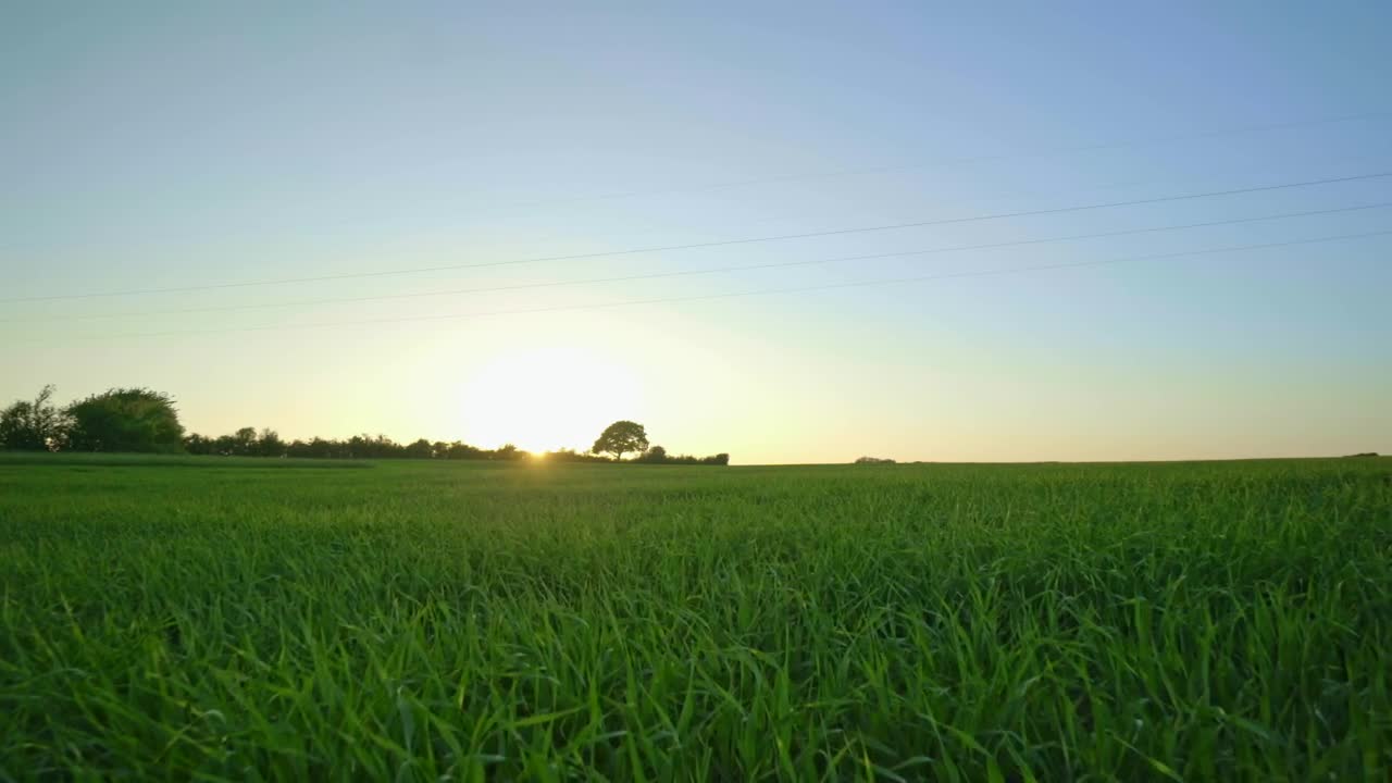 Free Video Stock Sunlight In The Countryside Live Wallpaper