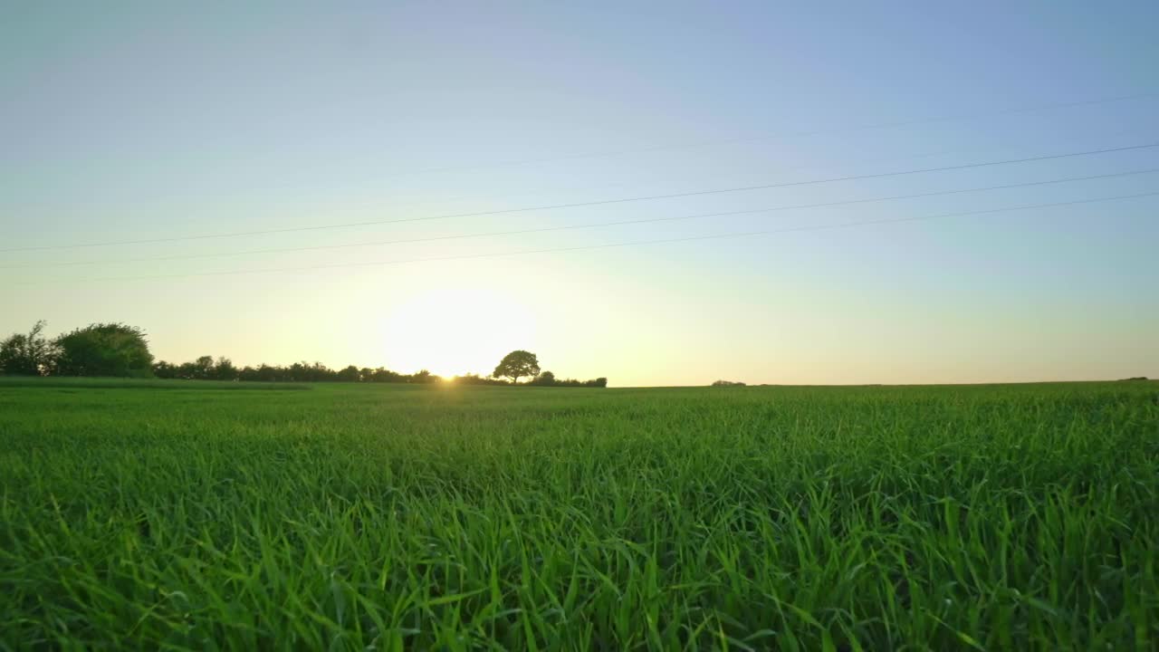 Free Video Stock Sunlight Over Fields Live Wallpaper