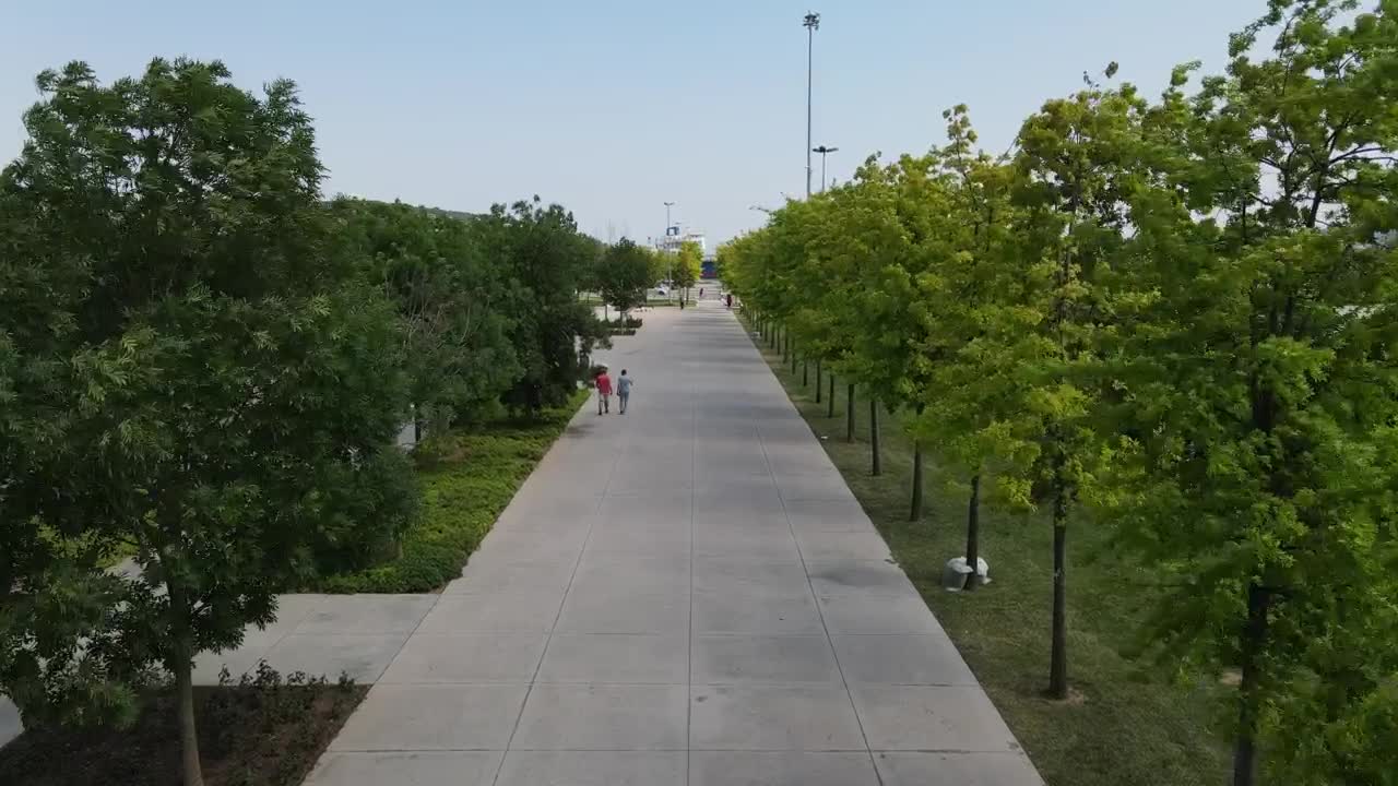 Free Video Stock Sunny Park With Trees And People From The Air Live Wallpaper