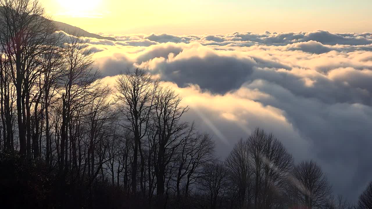 Free Video Stock Sunrise At A Cloudy Top Of The Mountain Live Wallpaper