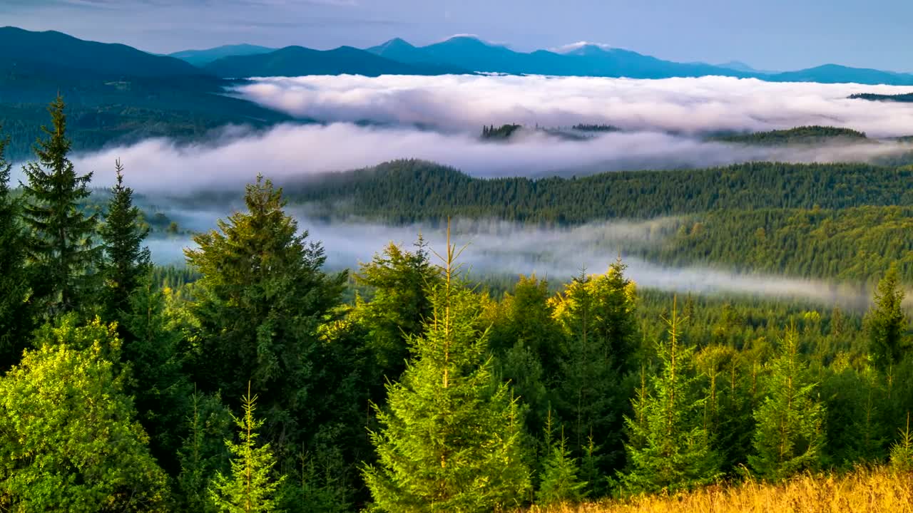 Free Video Stock Sunrise In A Foggy Mountain Live Wallpaper