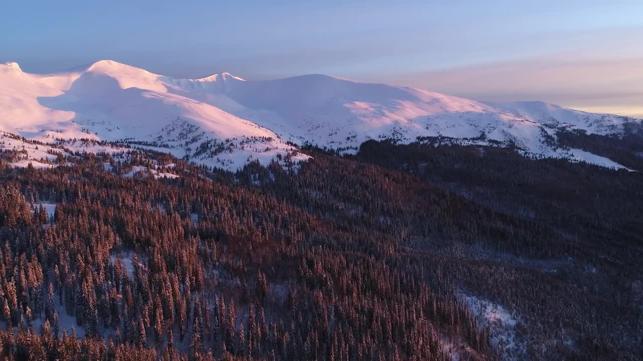 Free Video Stock Sunrise In A Winter Mountain Full Of Pine Trees Live Wallpaper