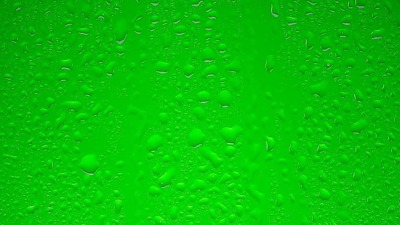 Free Video Stock transparent water drops on a green surface Live Wallpaper