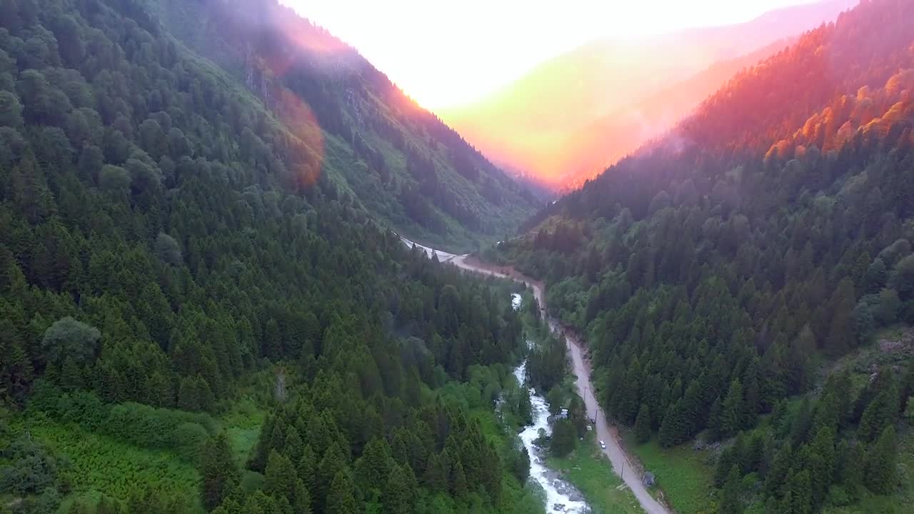 Free Video Stock sunrise in the mountain forest Live Wallpaper