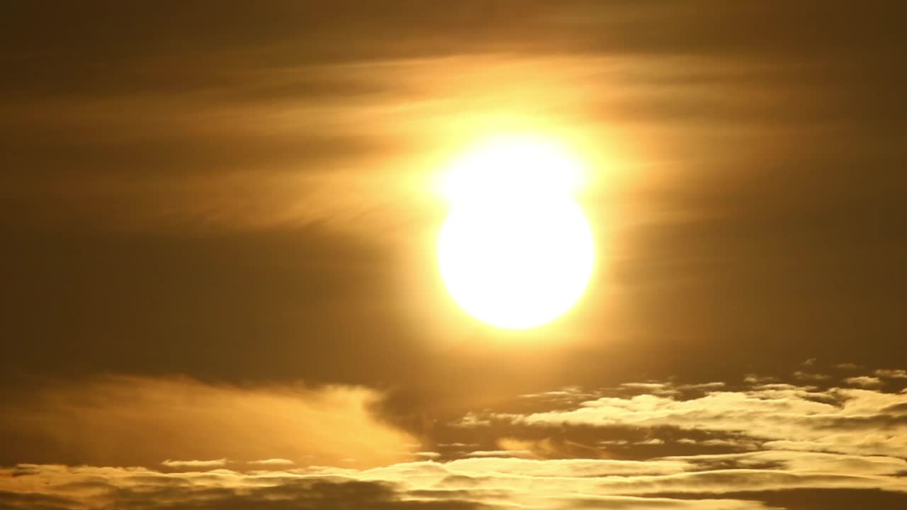 Free Video Stock sunrise in the tropics Live Wallpaper