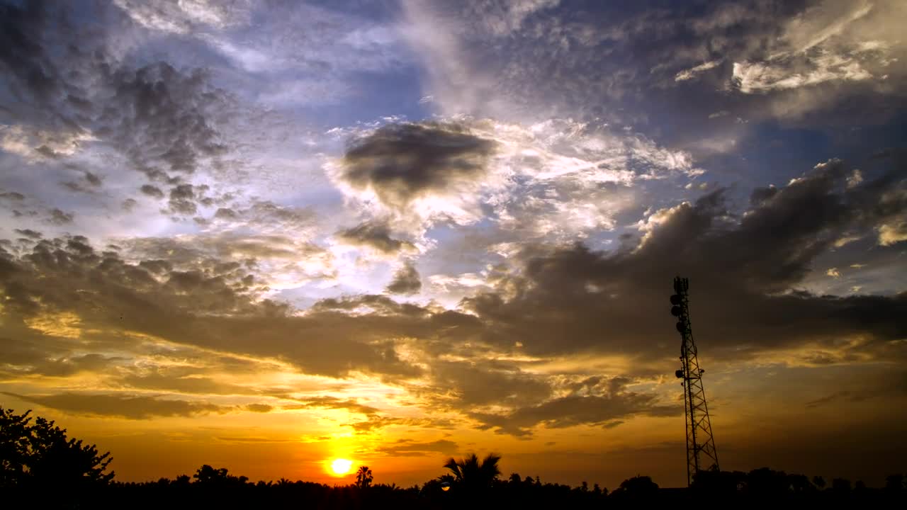 Free Video Stock sunrise over palms Live Wallpaper