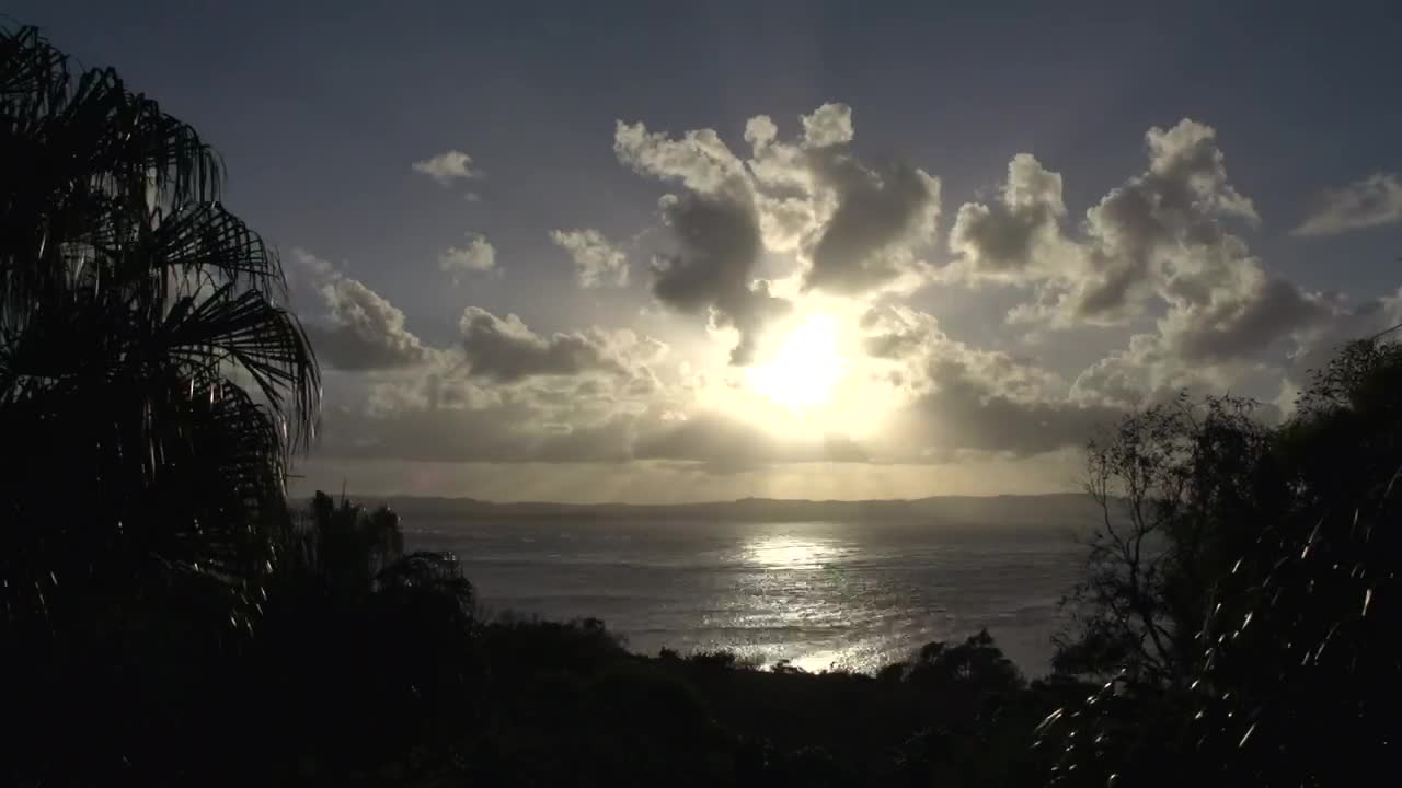 Free Video Stock sunset between the trees over the bay Live Wallpaper