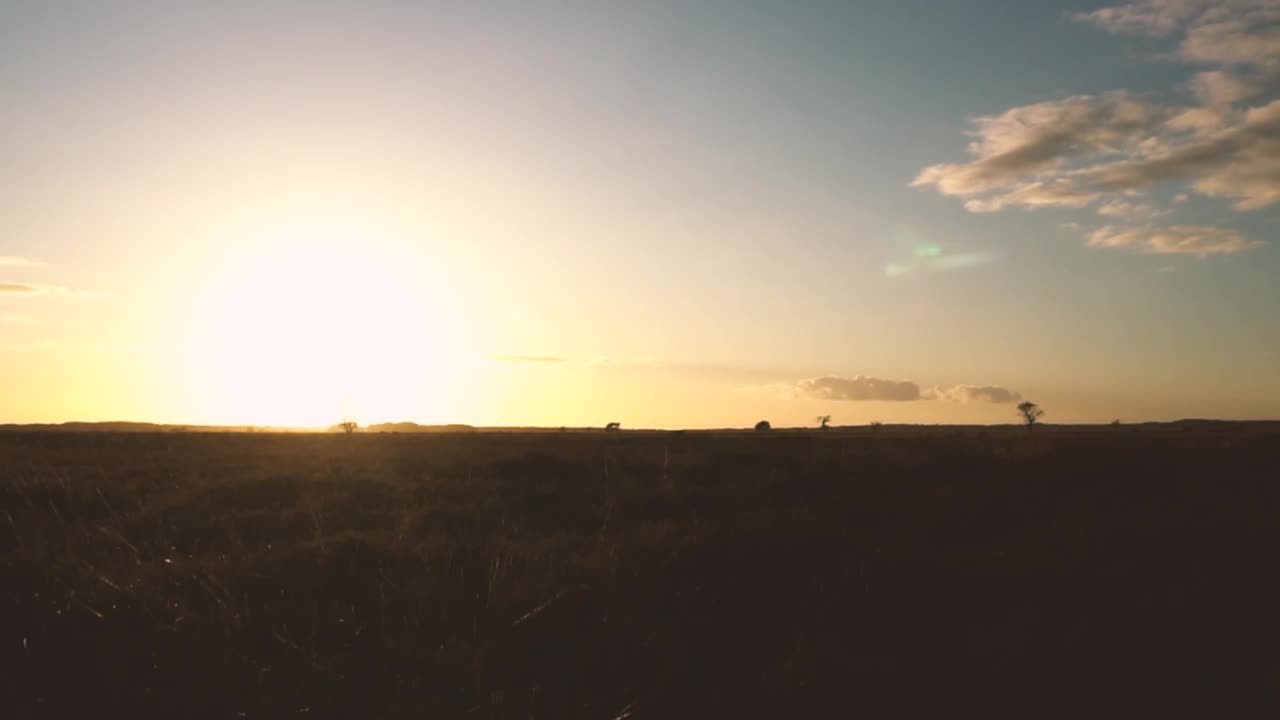 Free Video Stock sunset in the distance in a desert Live Wallpaper