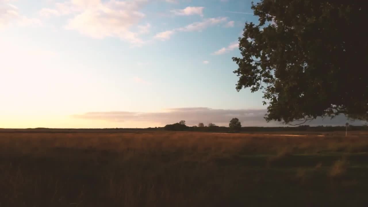 Free Video Stock sunset over fields of tall dry grass Live Wallpaper