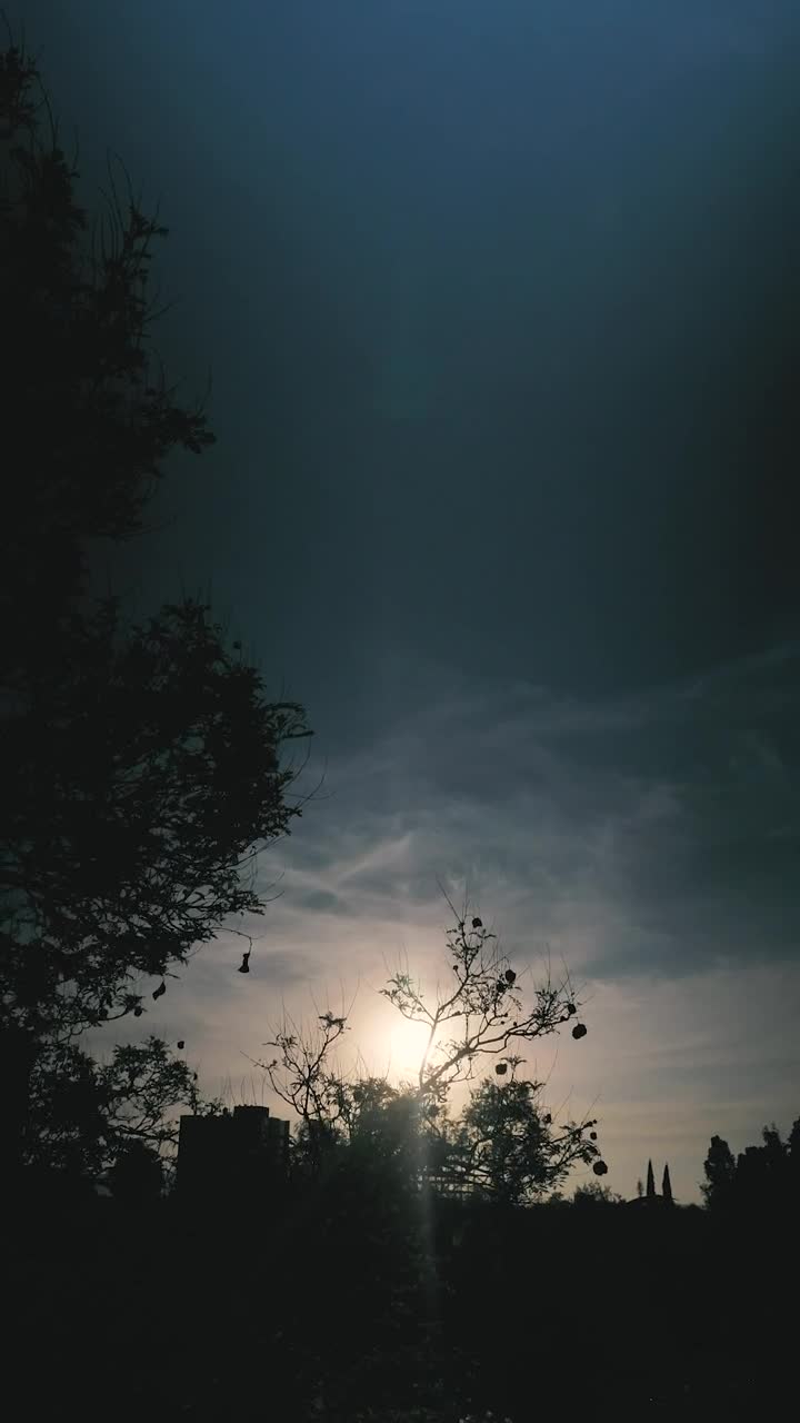 Free Video Stock sunset perspective in the city Live Wallpaper