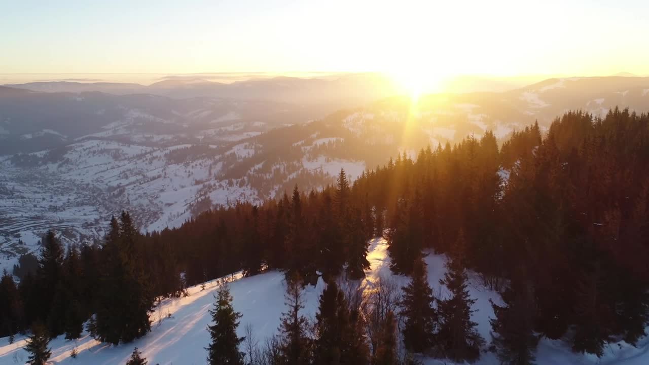 Free Video Stock sunset sunlight glaring in a wintry forest Live Wallpaper