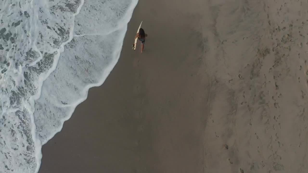 Free Video Stock surfer carrying his board along the beach Live Wallpaper
