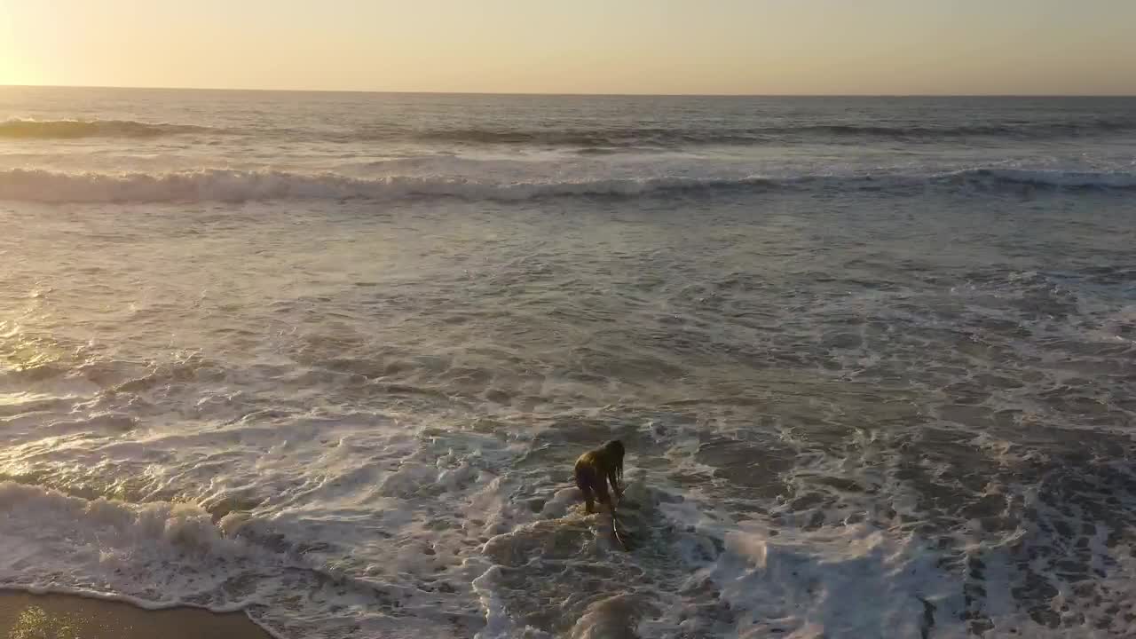 Free Video Stock surfer walking back to the beach Live Wallpaper