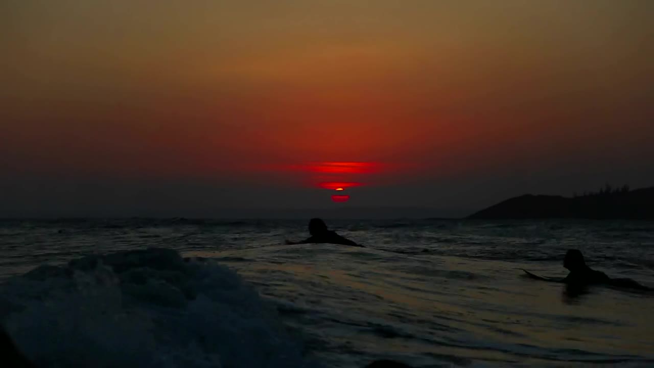 Free Video Stock surfers swiming in the evening Live Wallpaper