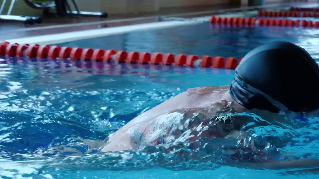 Free Video Stock swimming lengths in an indoor pool Live Wallpaper