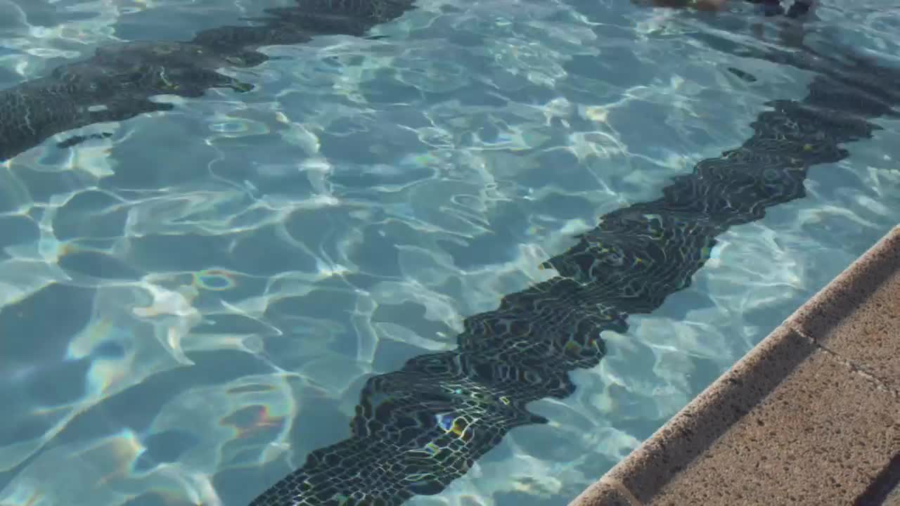 Free Video Stock swimming slowly along the pool Live Wallpaper