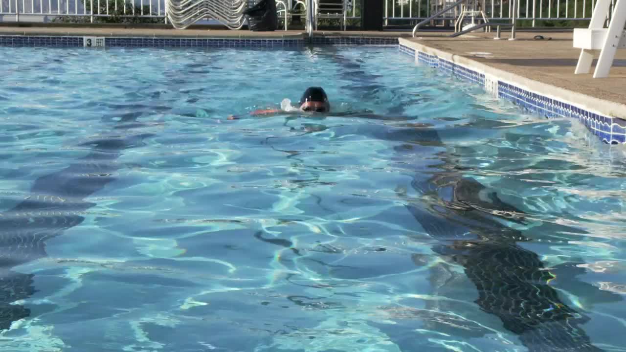 Free Video Stock swimming the length of a pool Live Wallpaper