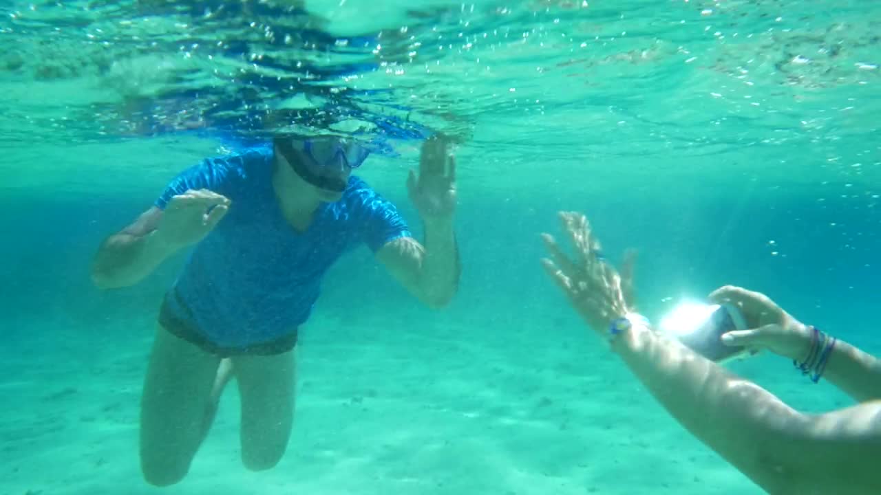 Free Video Stock taking a photo underwater Live Wallpaper