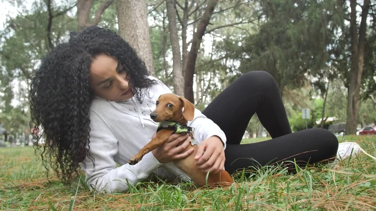 Free Video Stock taking care of your dog in the park Live Wallpaper