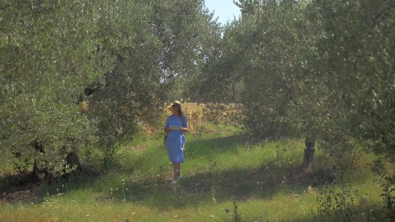 Free Video Stock taking photos in a vibrant woodland Live Wallpaper