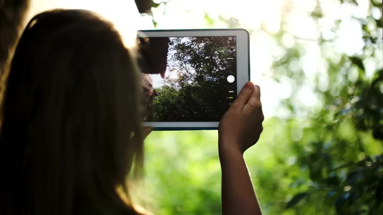 Free Video Stock taking photos of a field Live Wallpaper