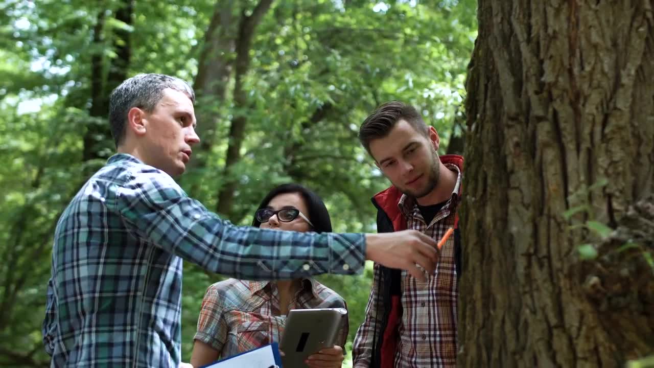 Free Video Stock team of researchers discussing about a tree Live Wallpaper