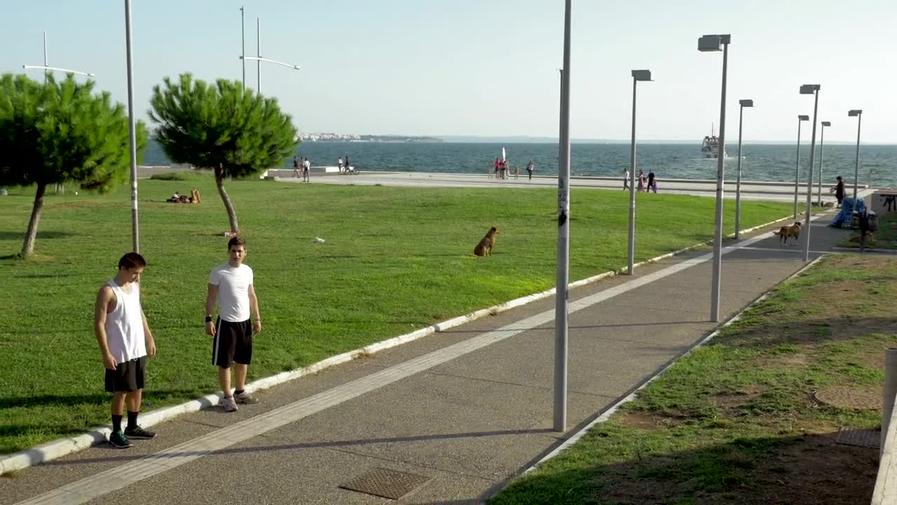 Free Video Stock team parkour Live Wallpaper