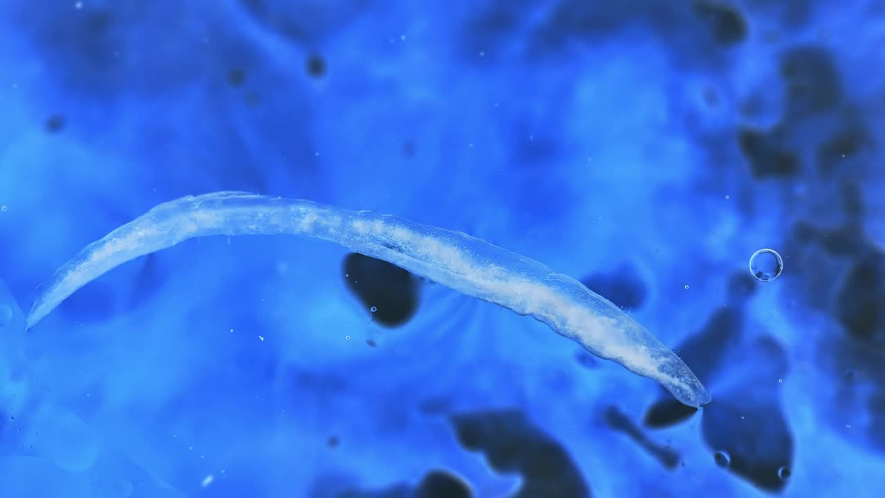 Free Video Stock texture of a bacteria floating in liquid Live Wallpaper