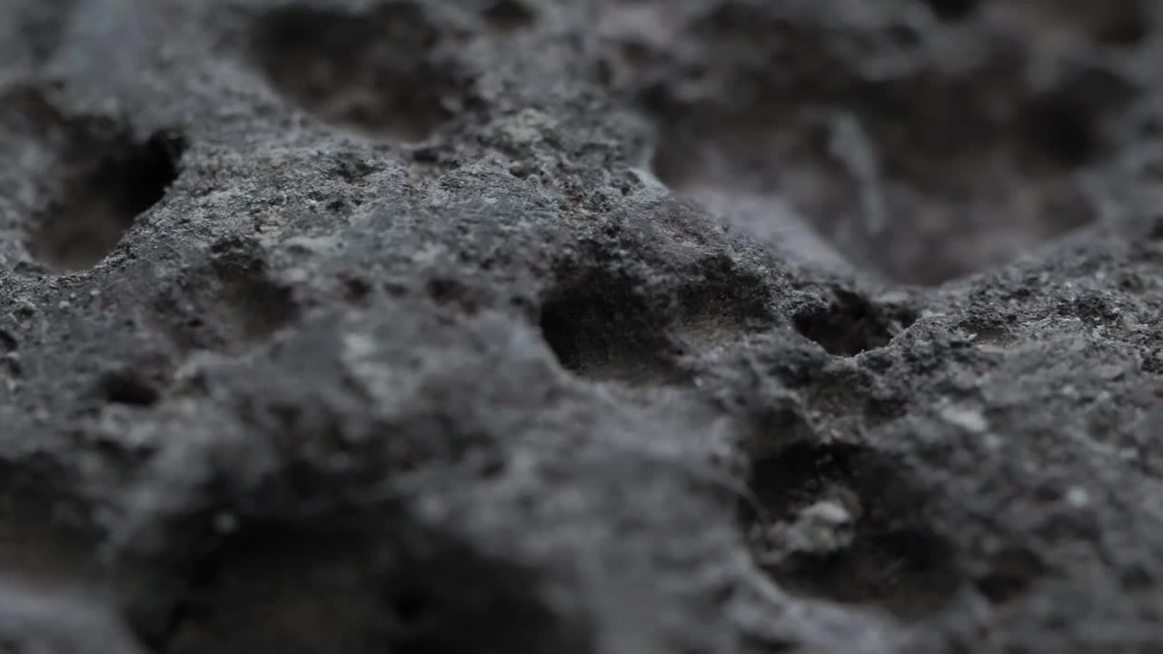 Free Video Stock texture of a gray rock detail view Live Wallpaper