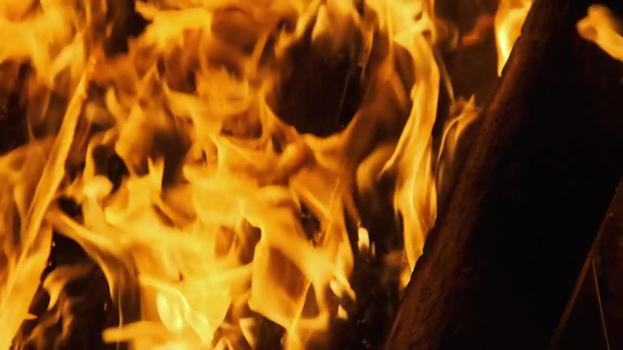 Free Video Stock texture of the flames of a campfire Live Wallpaper