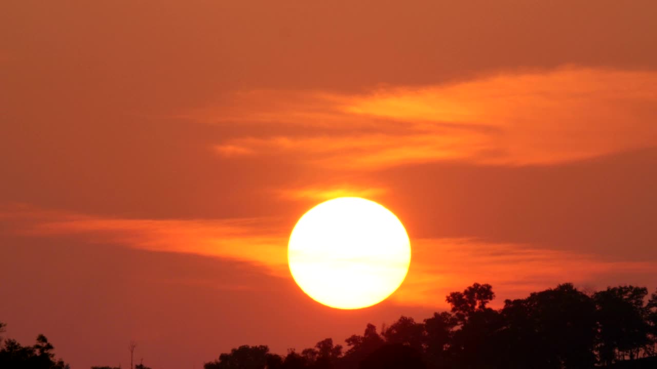 Free Video Stock the sun goes down behind a tree line Live Wallpaper