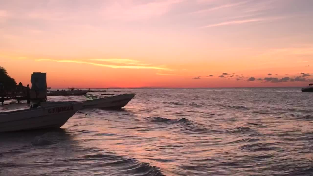 Free Video Stock the sunset near the seashore Live Wallpaper