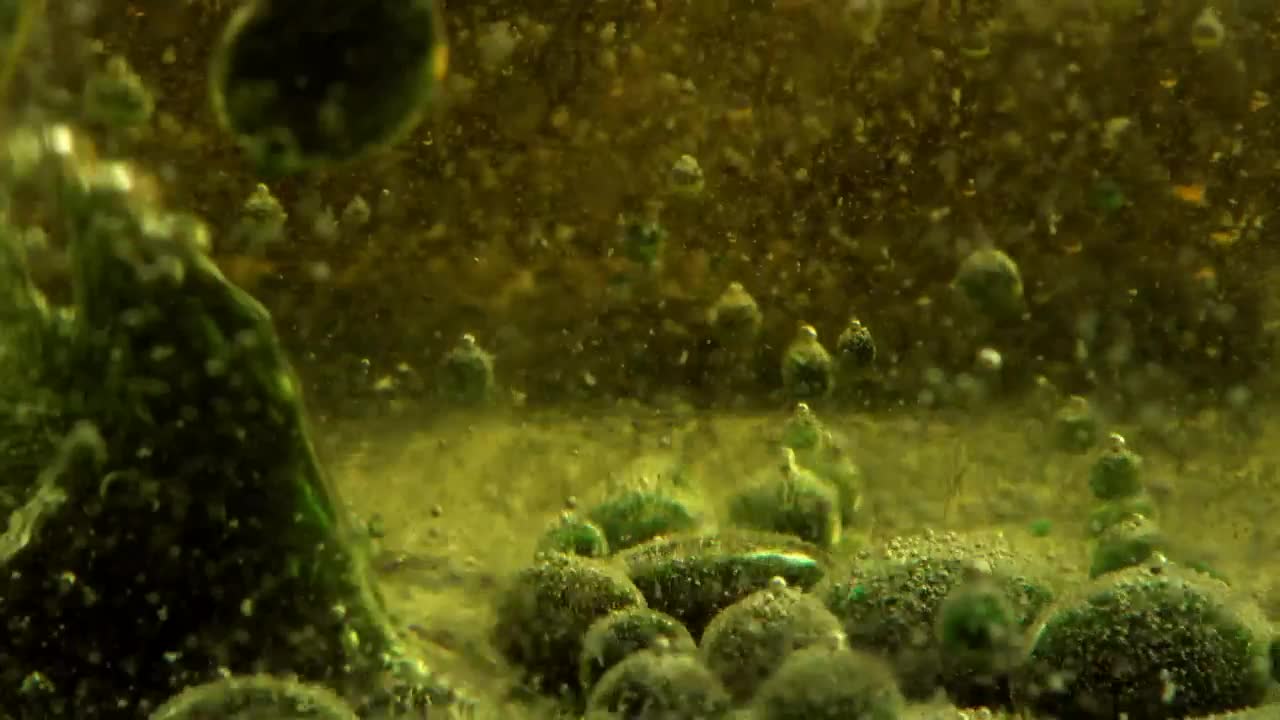 Free Video Stock thick green and bubbly liquid seen in detail Live Wallpaper