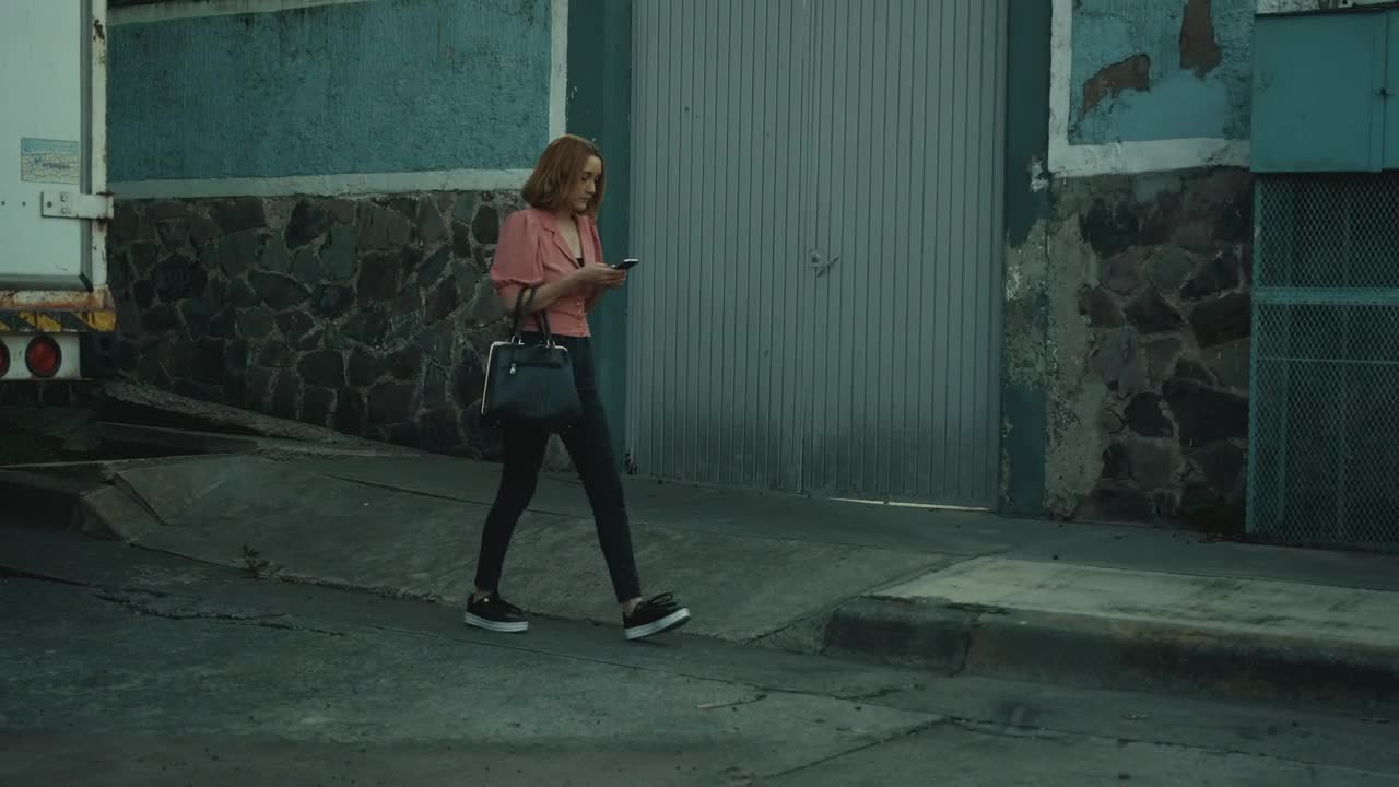 Free Video Stock thief steals a womans purse on the street Live Wallpaper