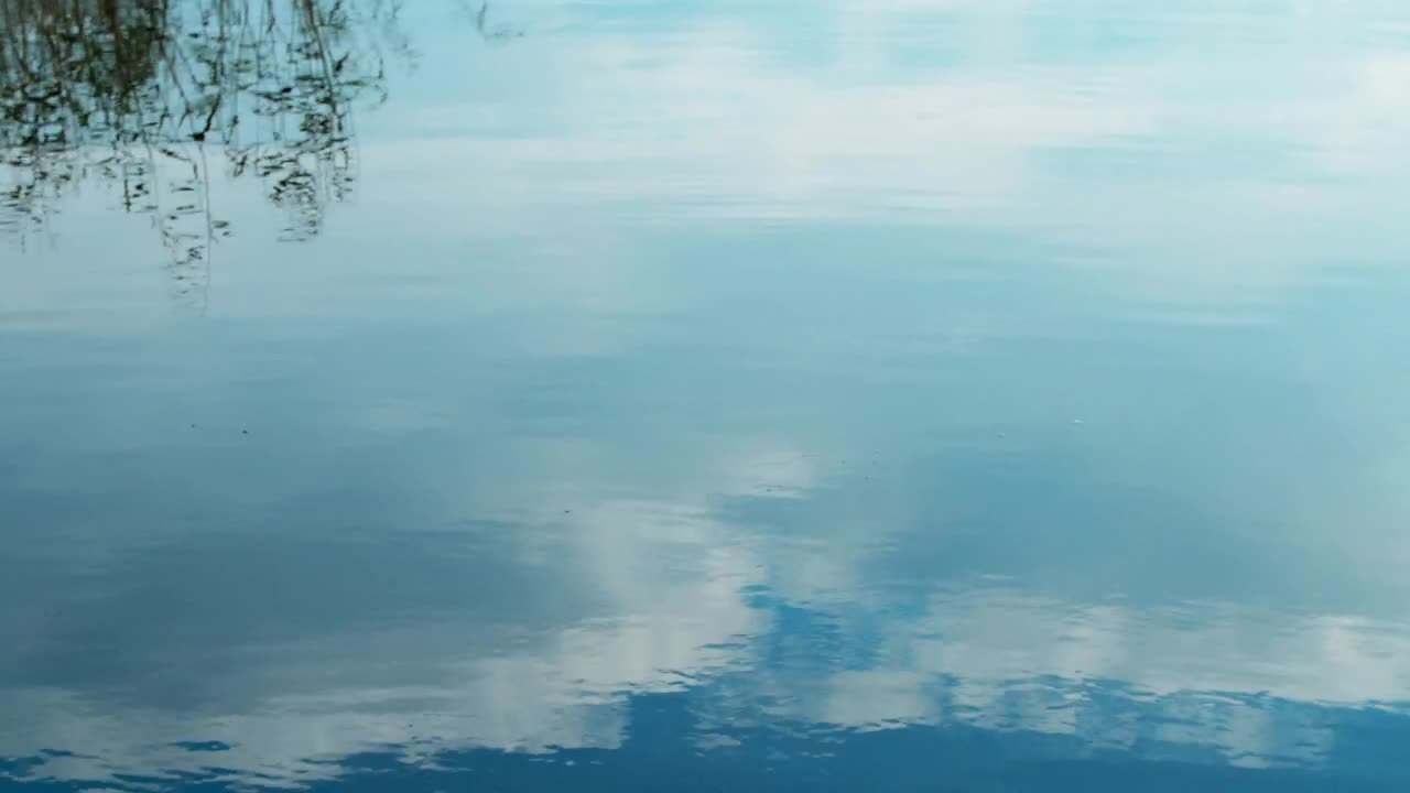 Free Video Stock throwing a stone into a lake Live Wallpaper