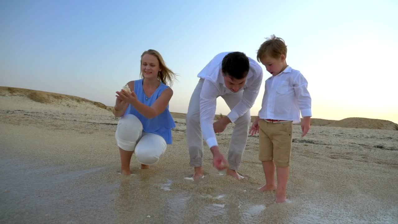 Free Video Stock throwing shells at the beach Live Wallpaper