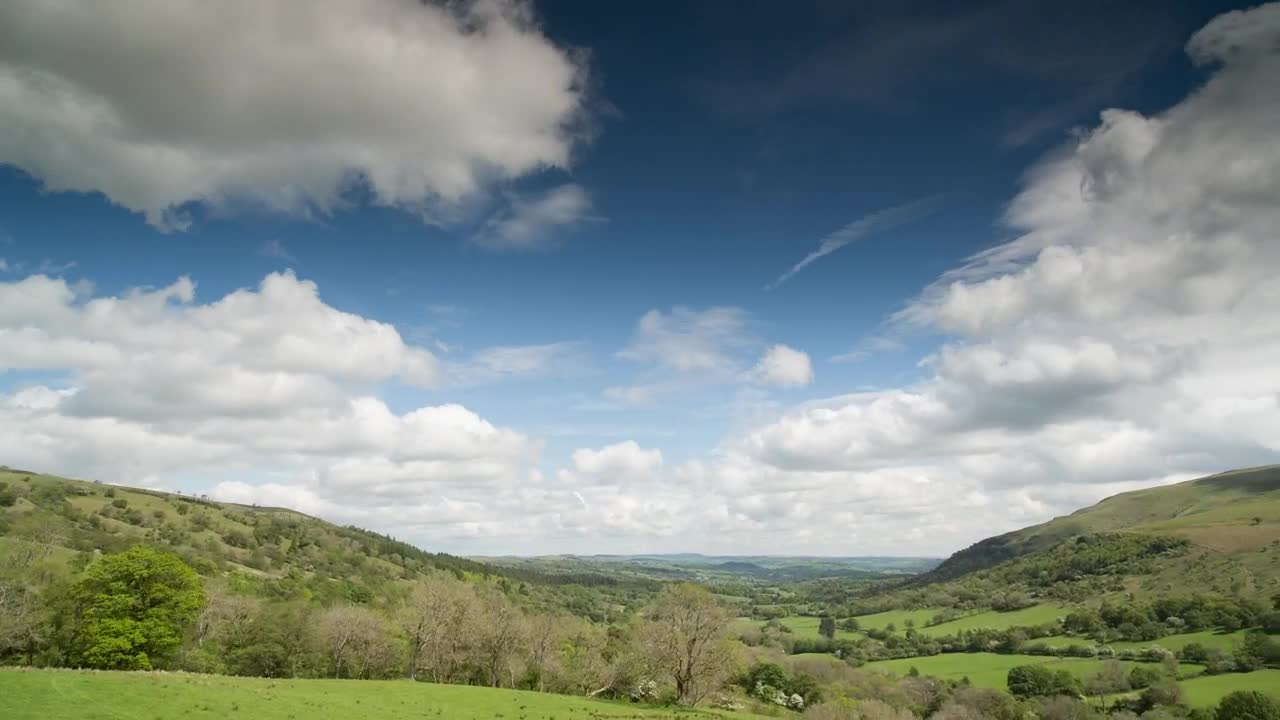 Free Video Stock time lapse of a green meadow Live Wallpaper