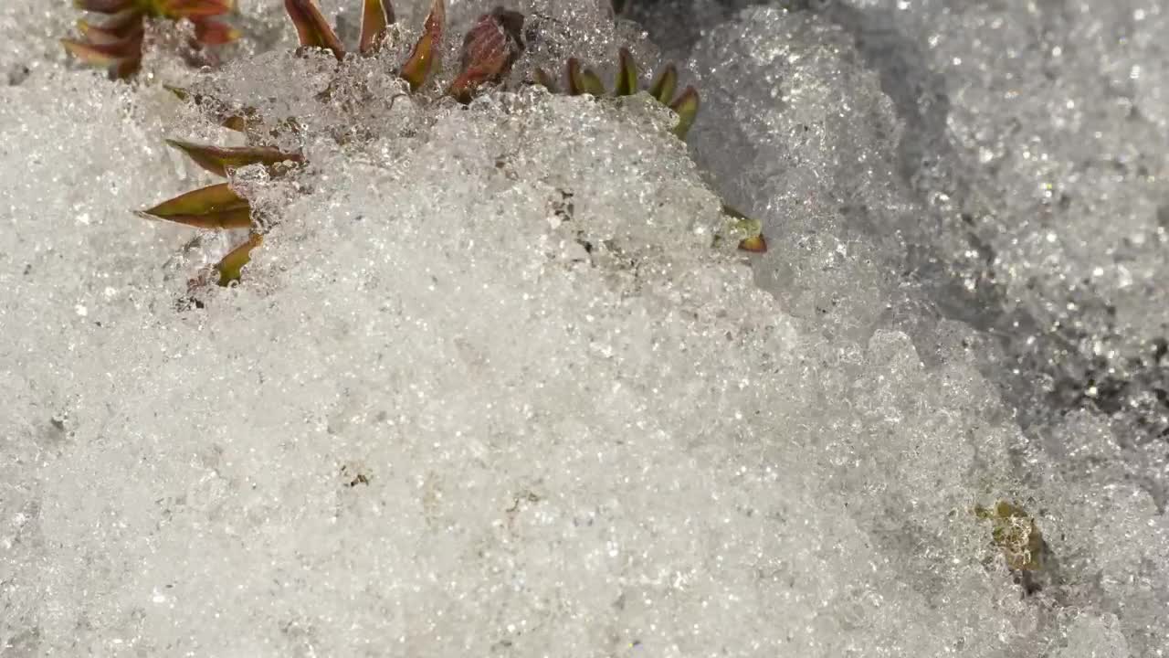 Free Video Stock time lapse of melting ice Live Wallpaper