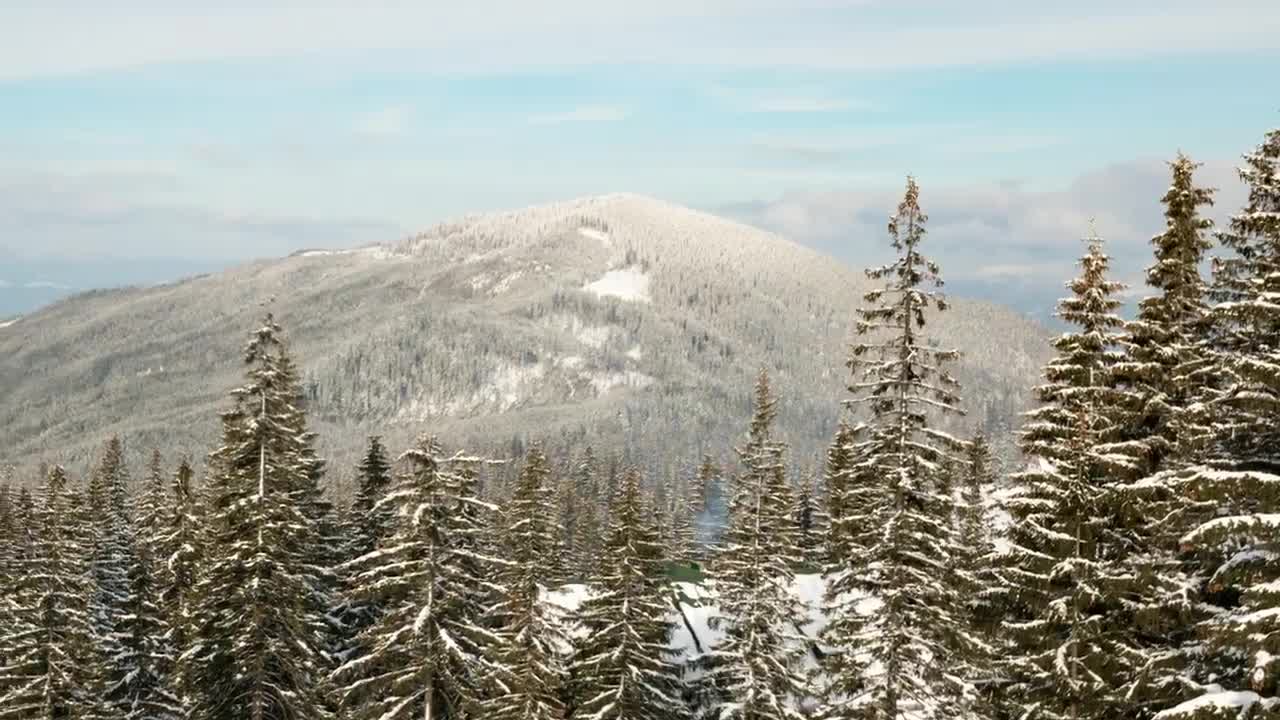 Free Video Stock time lapse of pine filled winter mountains Live Wallpaper