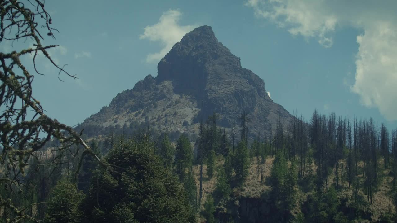 Free Video Stock timelapse of a mountain in a forest Live Wallpaper